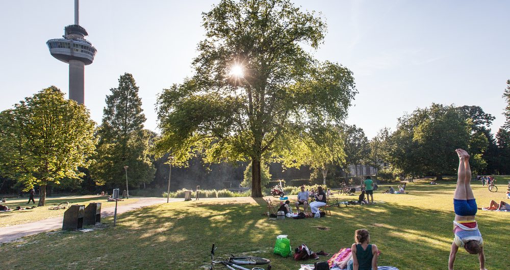 Samen wandelen in Rotterdam? Vind hier jouw wandelmaatje