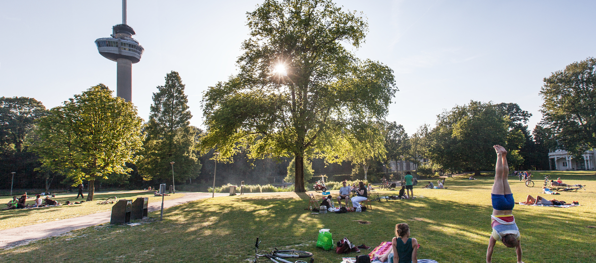 Samen wandelen in Rotterdam? Vind hier jouw wandelmaatje
