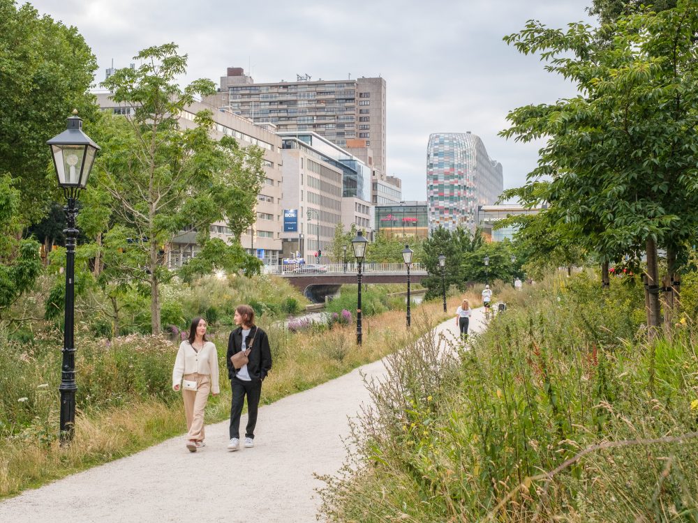 Wandelmaatje gezocht? Zo vind je een wandelmaatje in jouw buurt