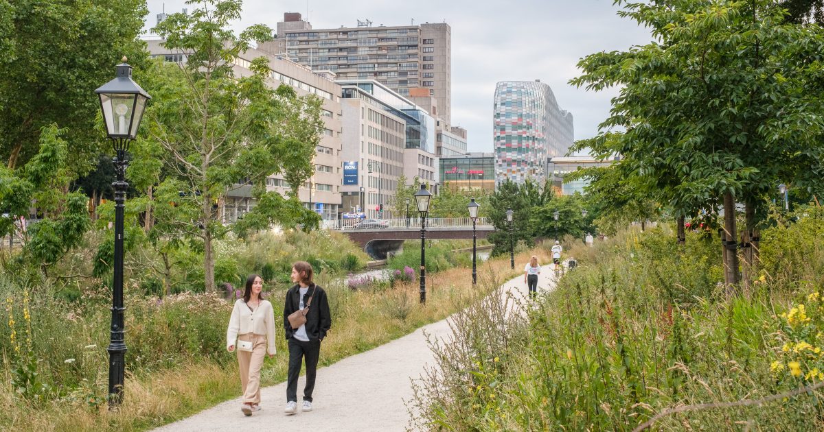Wandelmaatje gezocht? Zo vind je een wandelmaatje in jouw buurt